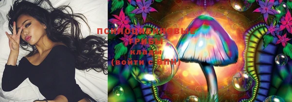 метадон Гусиноозёрск