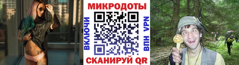 Псилоцибиновые грибы ЛСД Мещовск