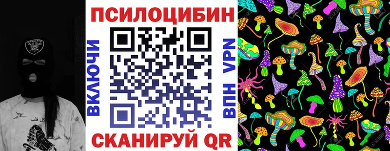 Галлюциногенные грибы Psilocybe  цены наркотик  Мещовск 